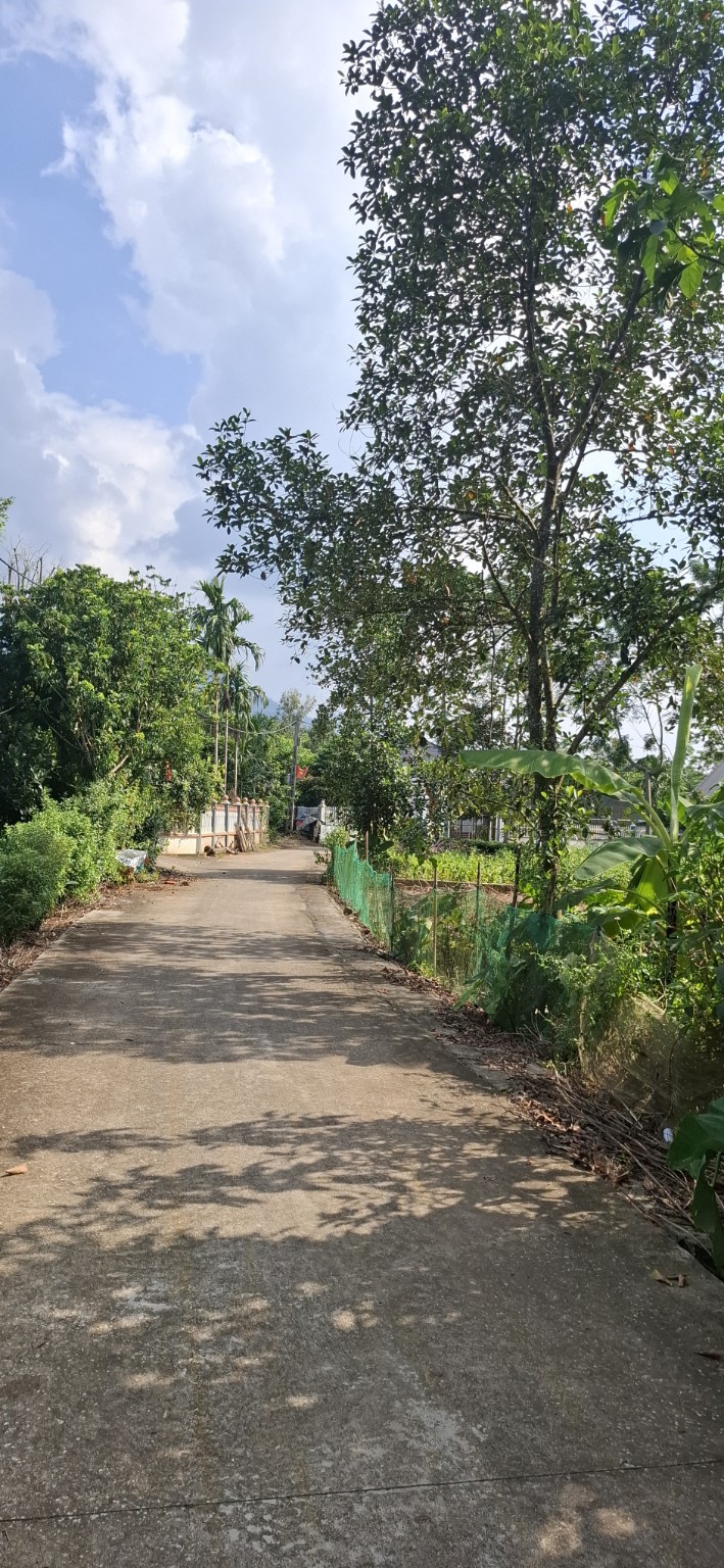 BV07 — ảnh thực tế 1