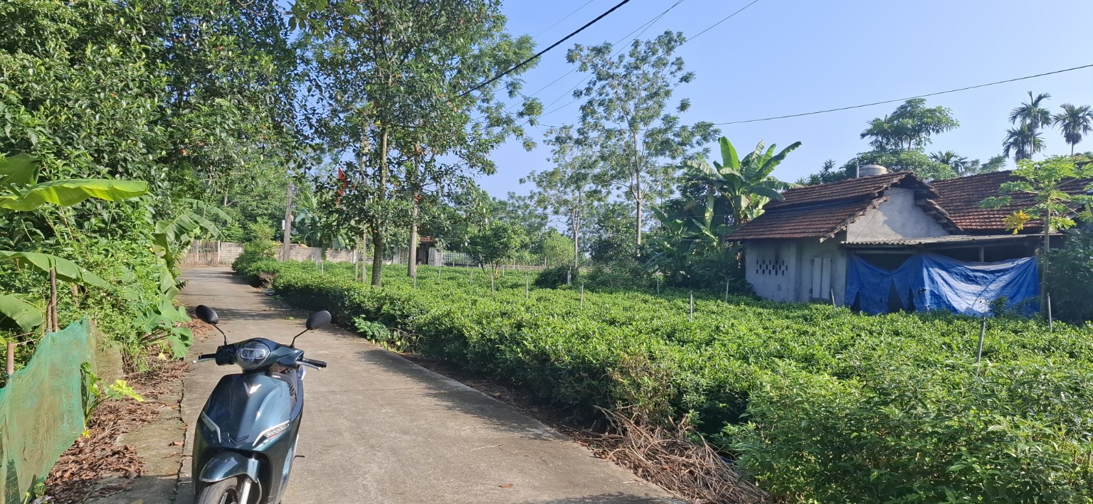 Không gian và đường tiếp cận BV07 Thôn 3, Suối Hai