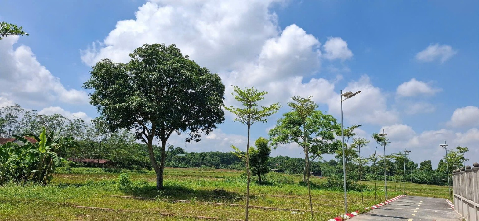 Không gian và đường tại Vô Khuy do Tuân cung cấp
