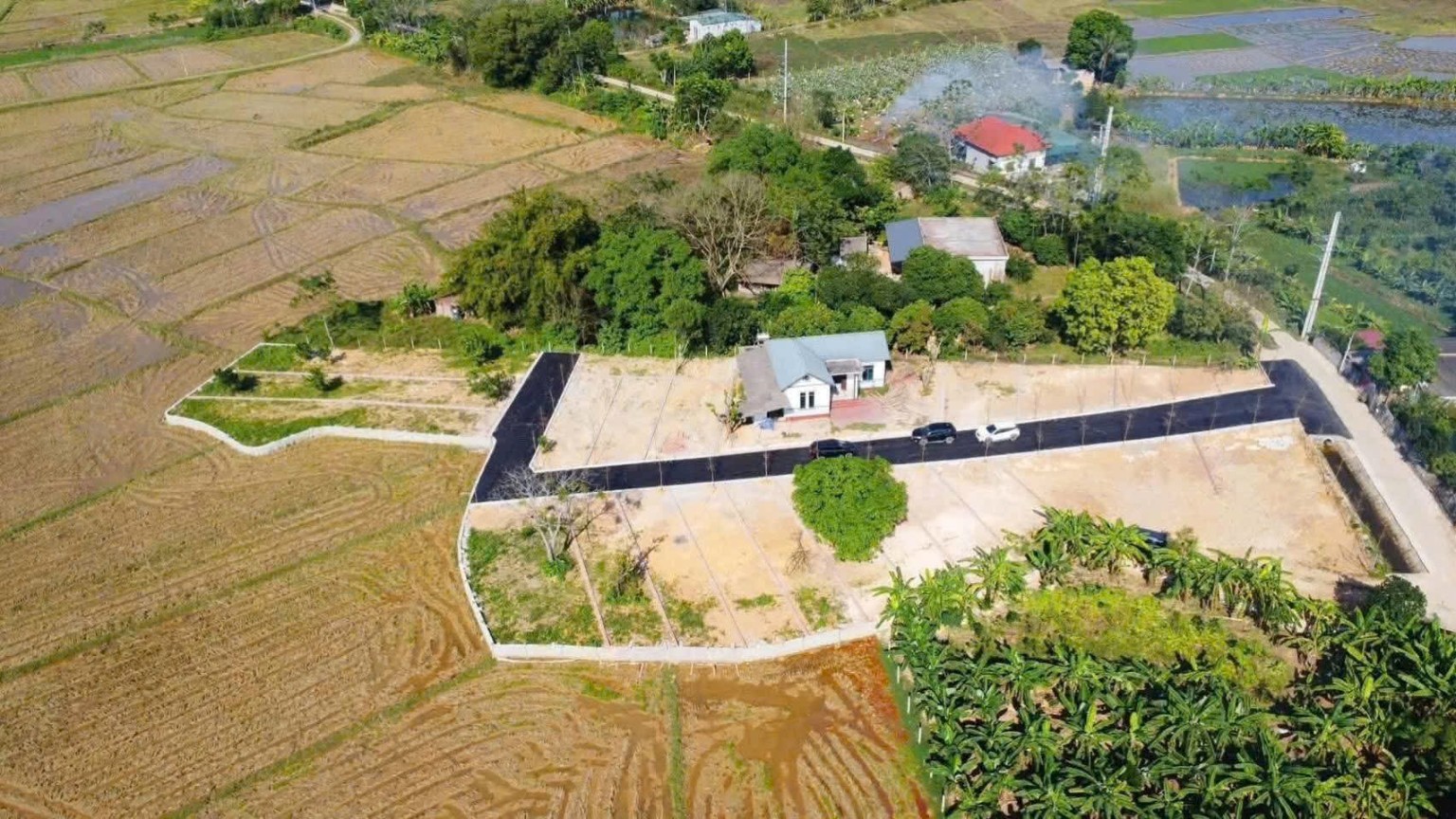 BV10 Vô Khuy — ảnh thực tế 2