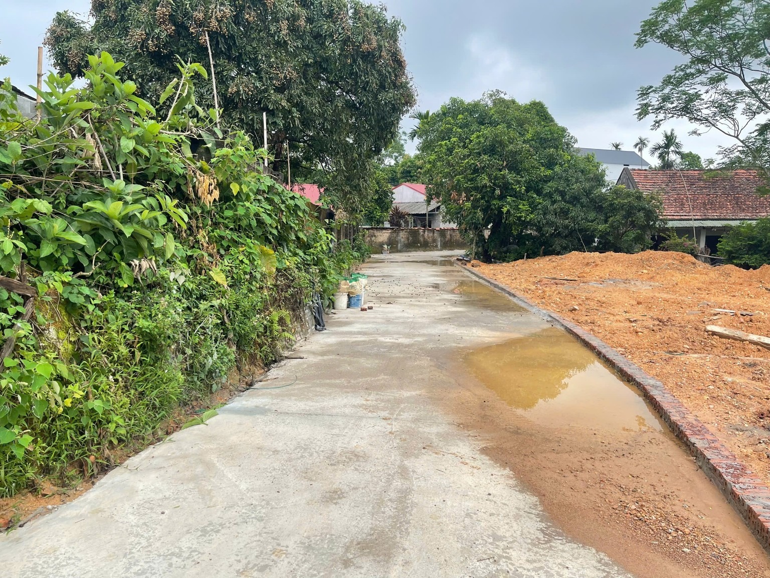 Ảnh thực tế BV19 — 3