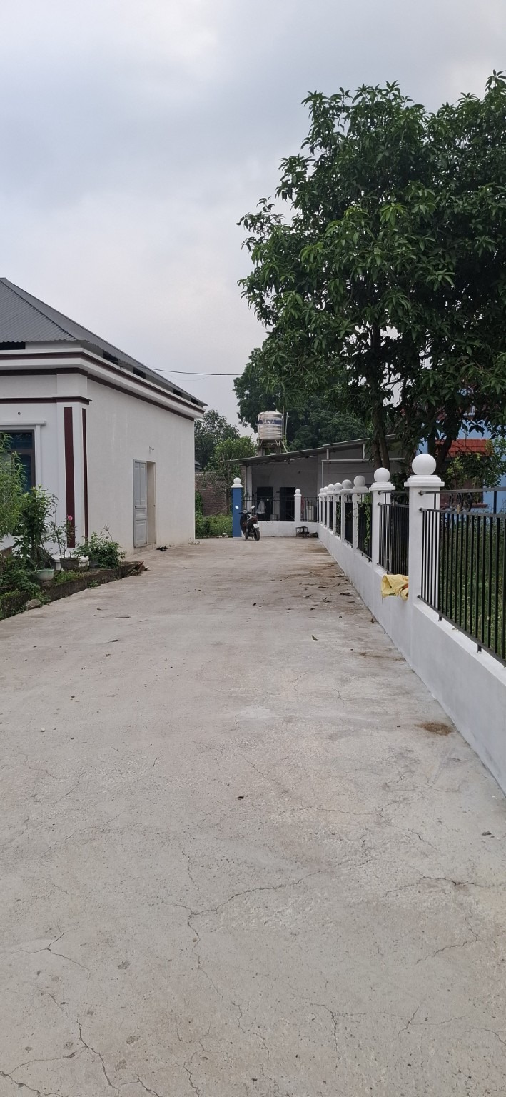 Ảnh thực tế BV20 — 2
