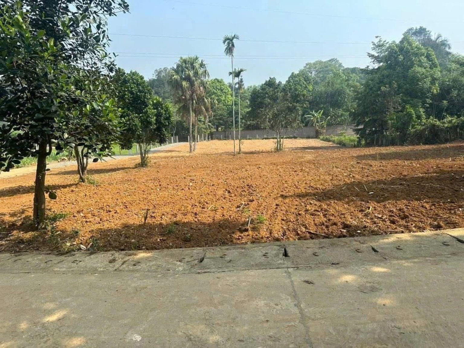 Hiện trạng lô BV23 tại Minh Quang