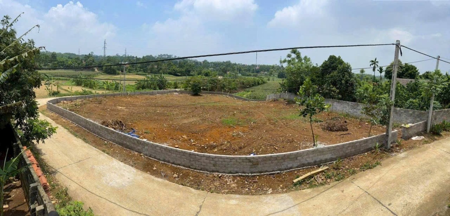 Lô góc BV24 tại Ba Trại