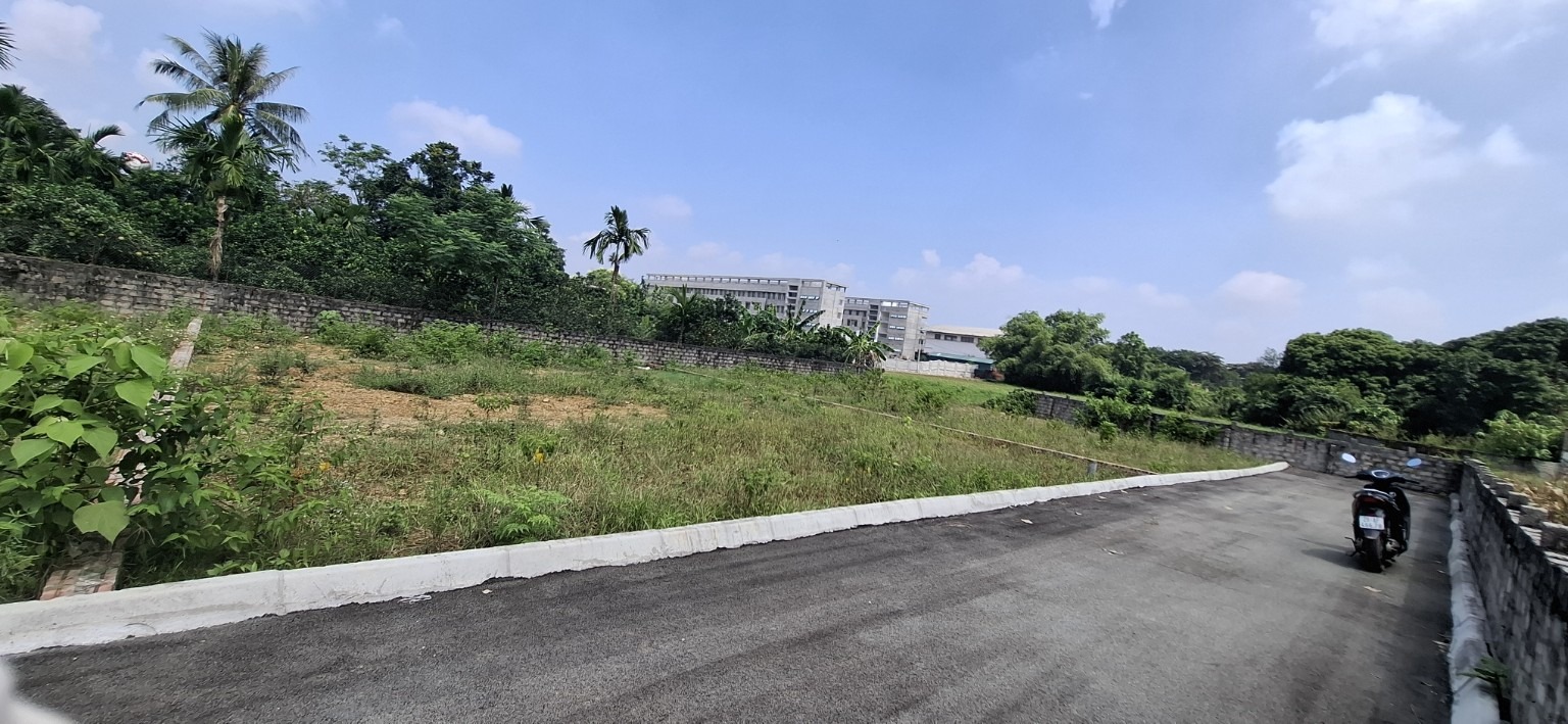 Ảnh thực tế BV26 — 3