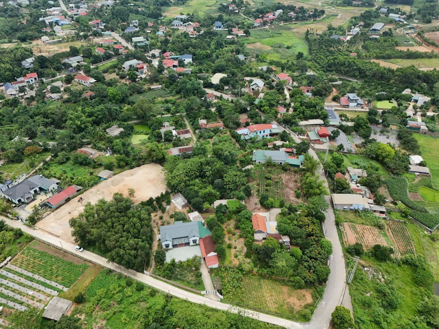 BV31 Bằng Tạ Bất Bạt